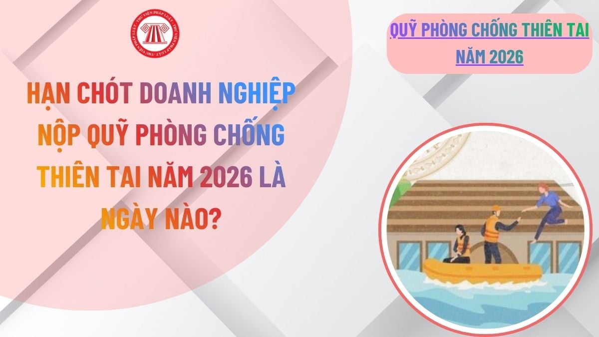 Lao Động Tiền Lương