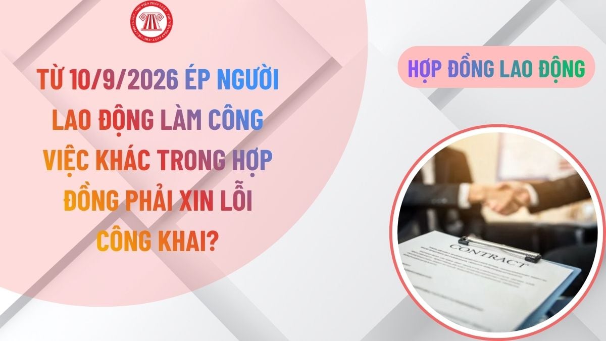 Lao Động Tiền Lương