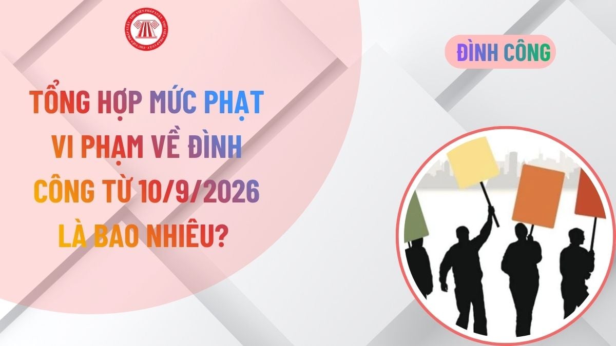 Lao Động Tiền Lương