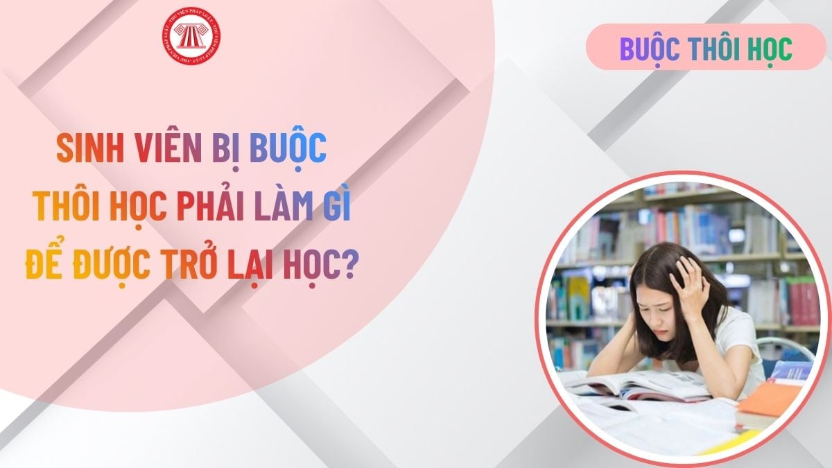 Lao Động Tiền Lương