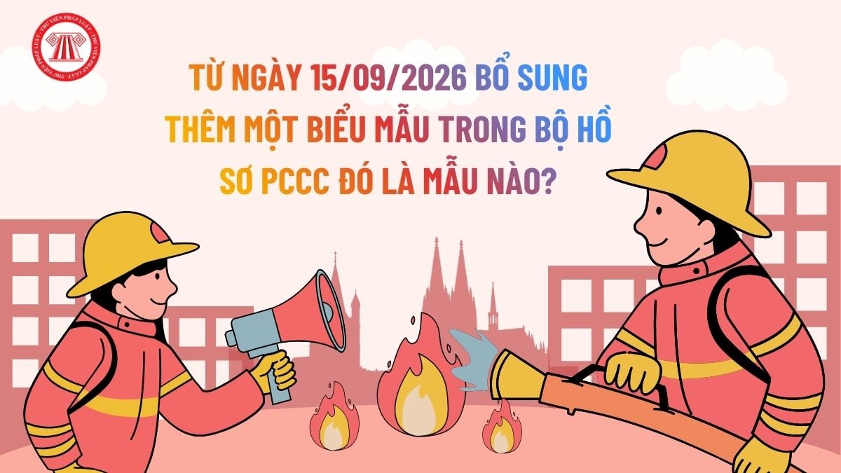 Lao Động Tiền Lương