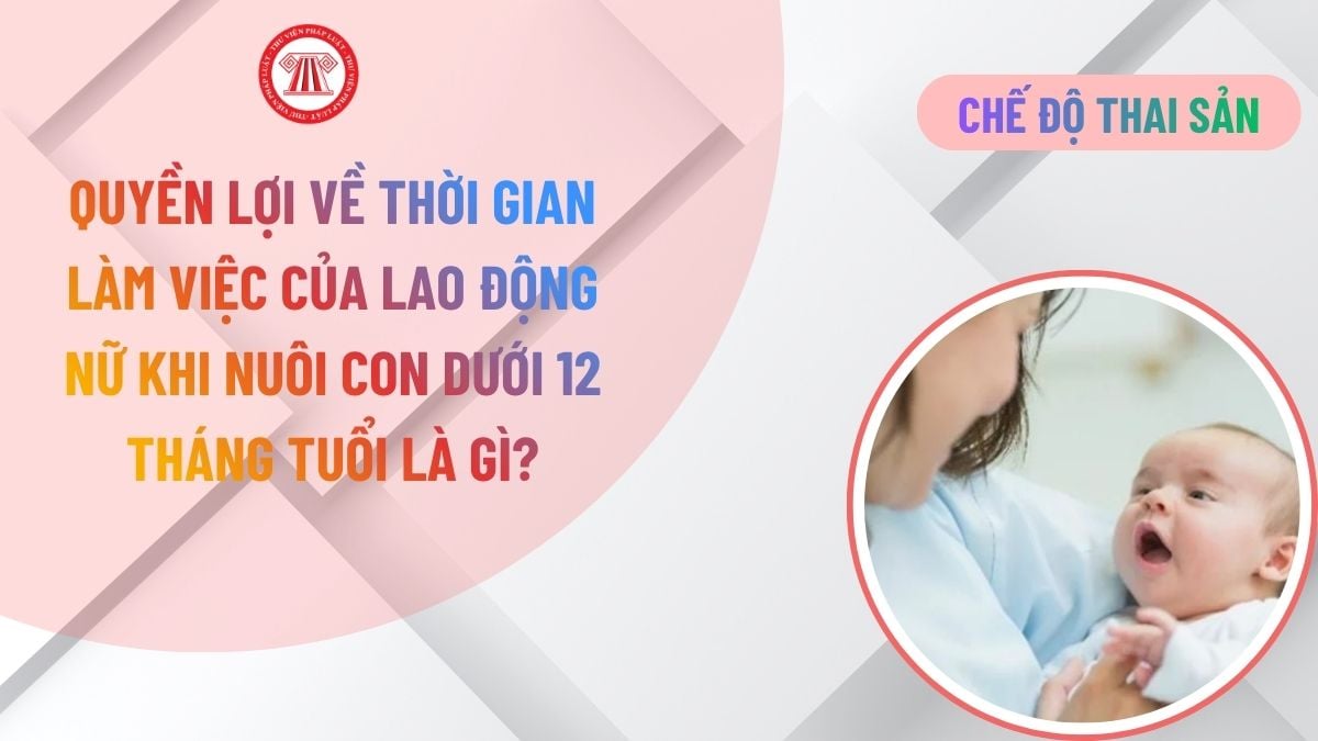 Lao Động Tiền Lương