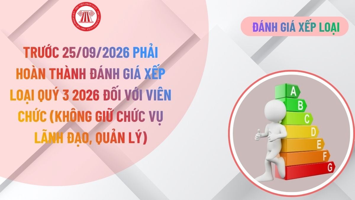 Lao Động Tiền Lương