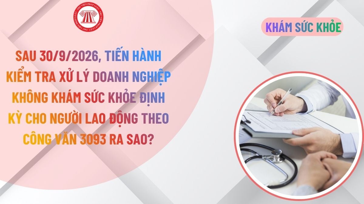 Lao Động Tiền Lương