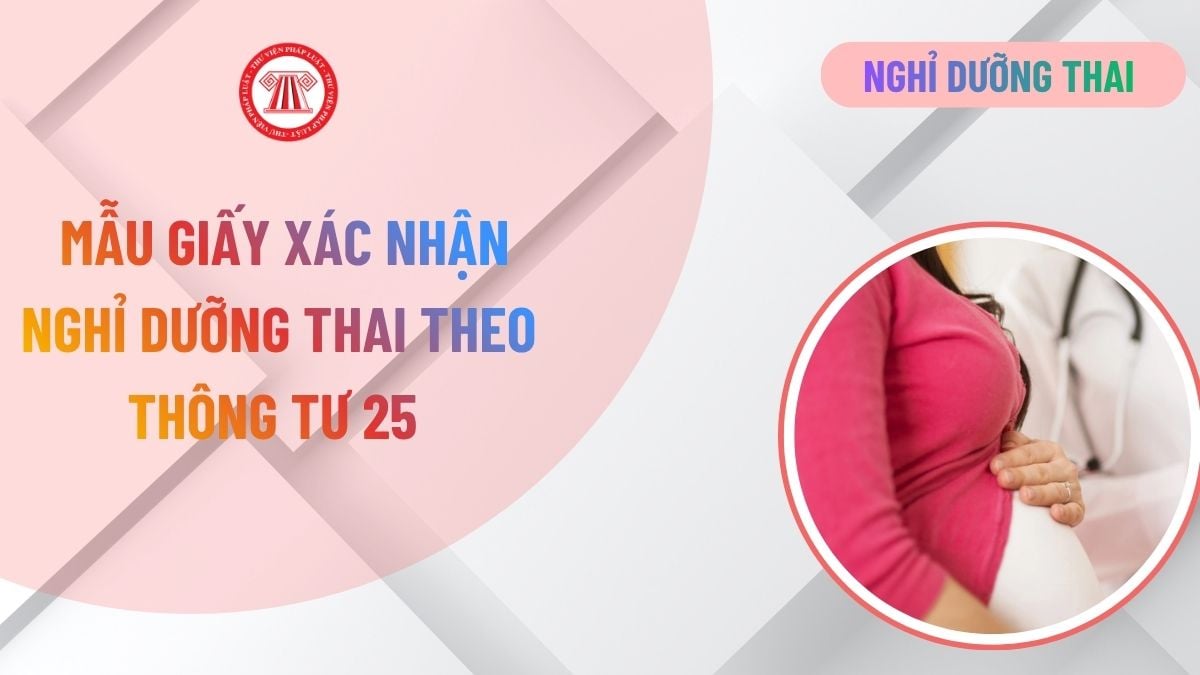 Lao Động Tiền Lương