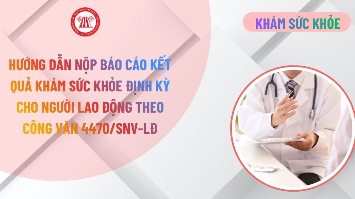 Lao Động Tiền Lương