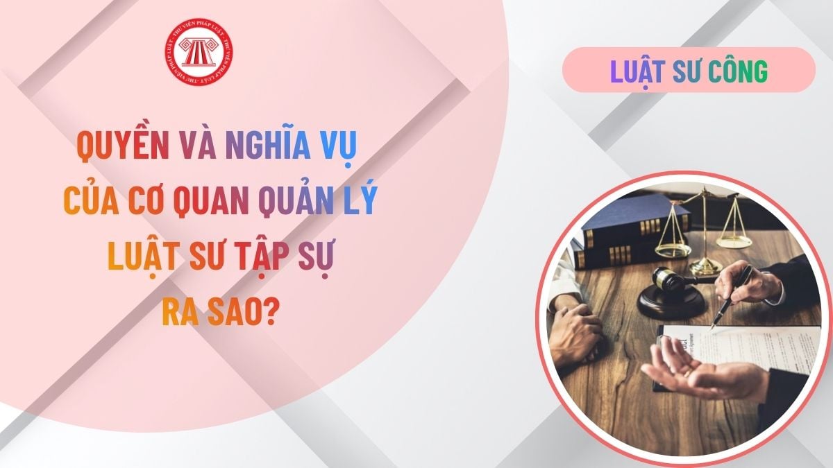 Lao Động Tiền Lương