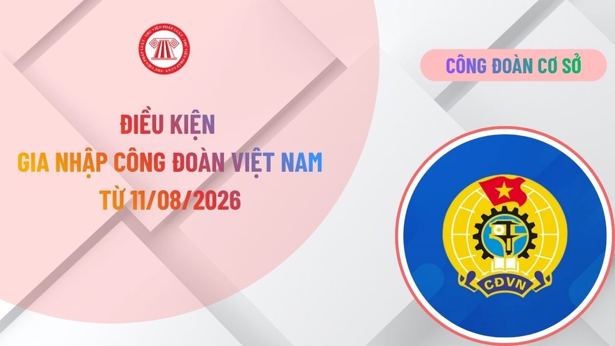 Lao Động Tiền Lương