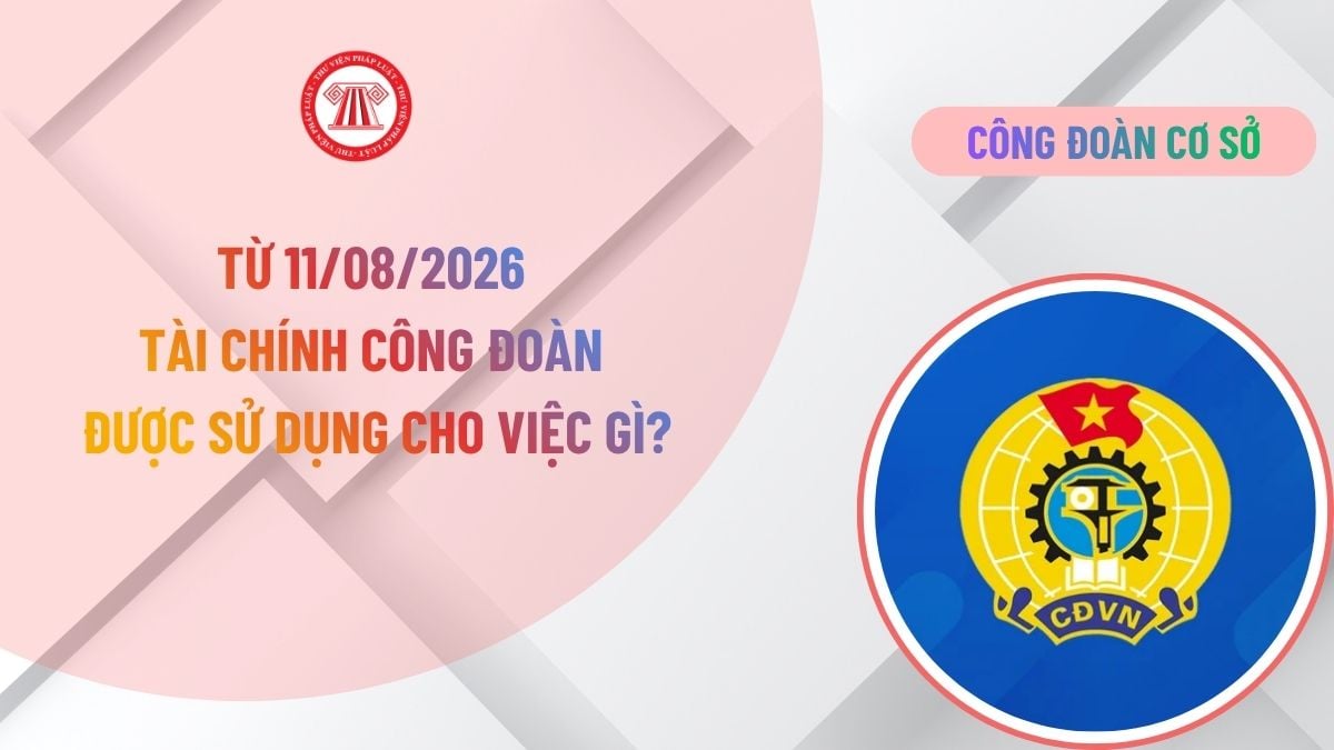 Lao Động Tiền Lương
