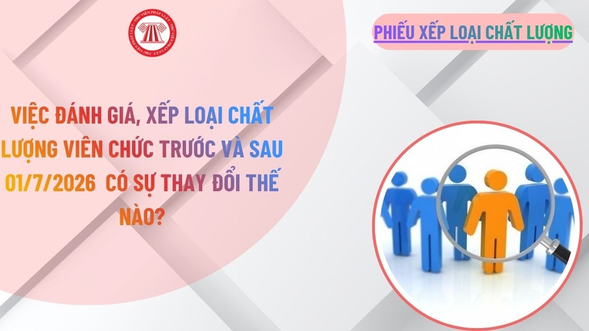 Lao Động Tiền Lương