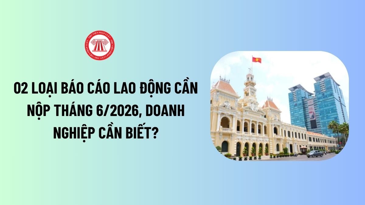 Lao Động Tiền Lương