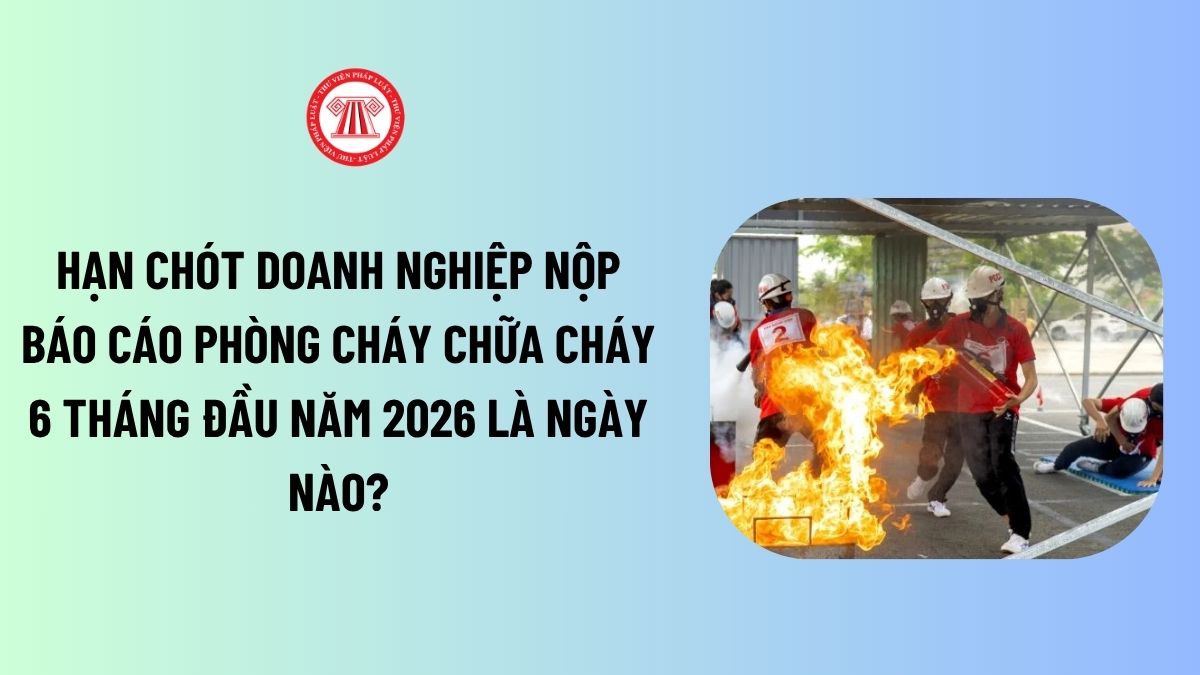 Lao Động Tiền Lương