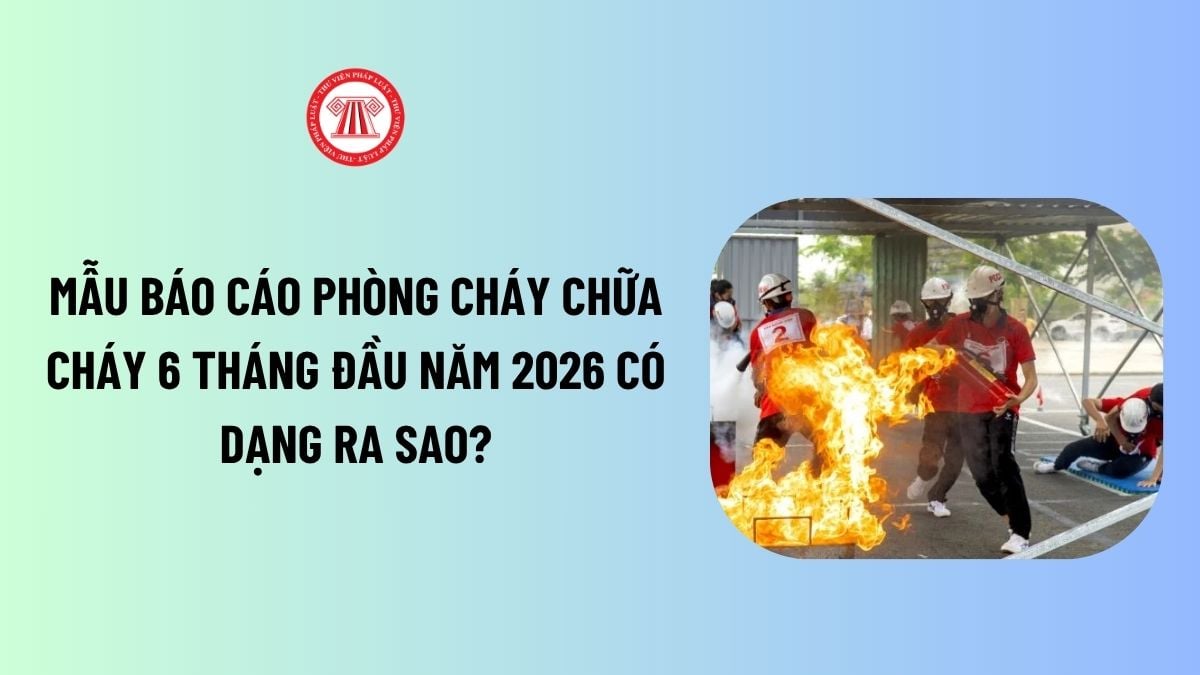 Lao Động Tiền Lương