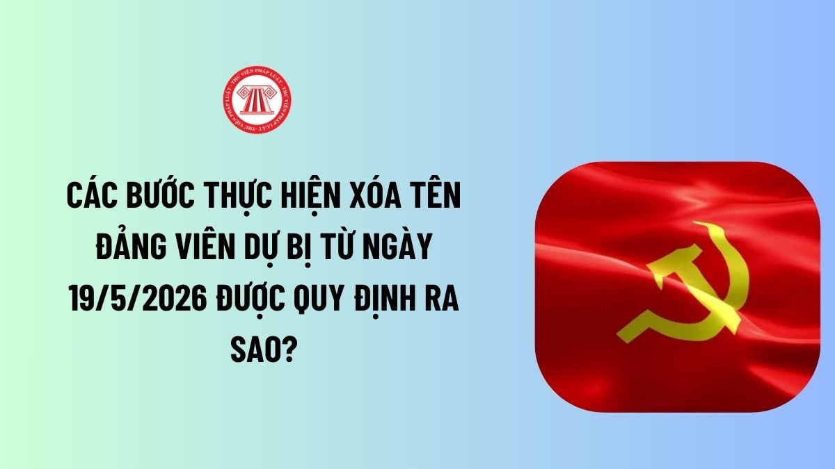 Lao Động Tiền Lương