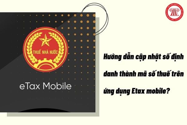 Pháp luật