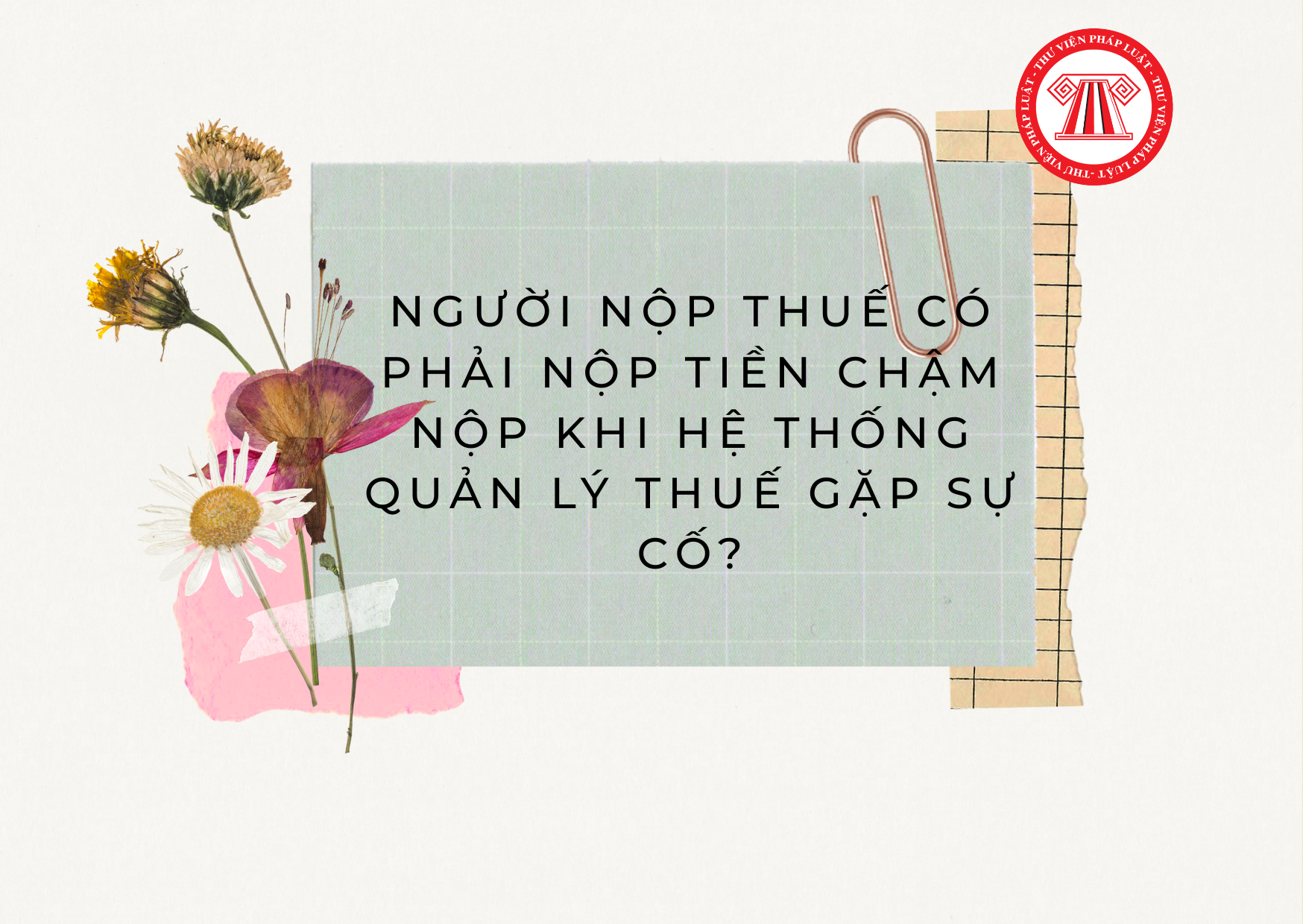 Pháp luật