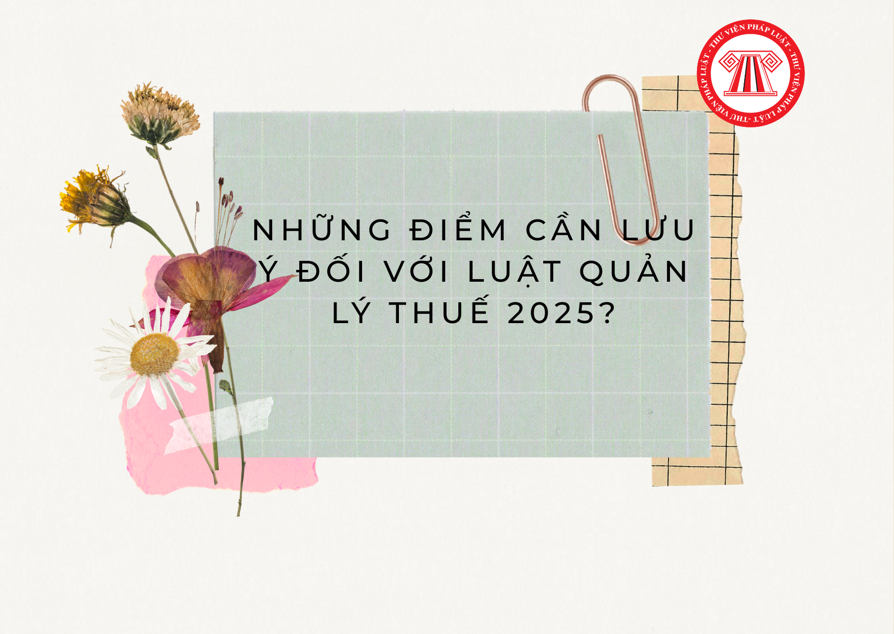 Pháp luật