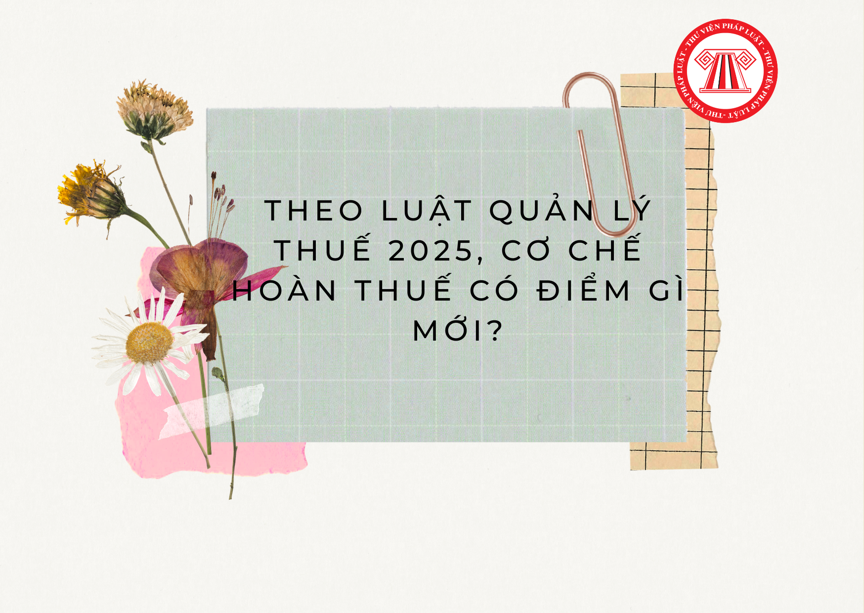 Pháp luật