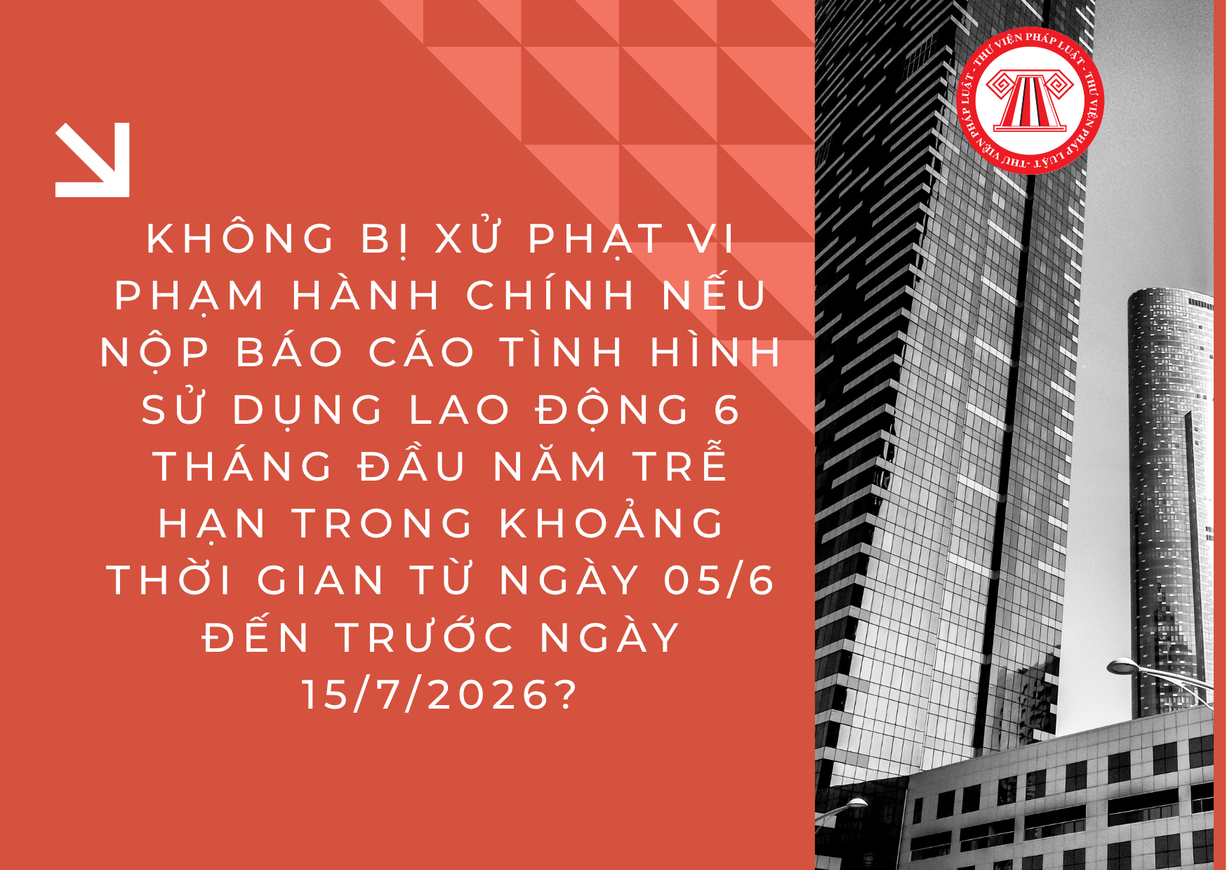 Pháp luật