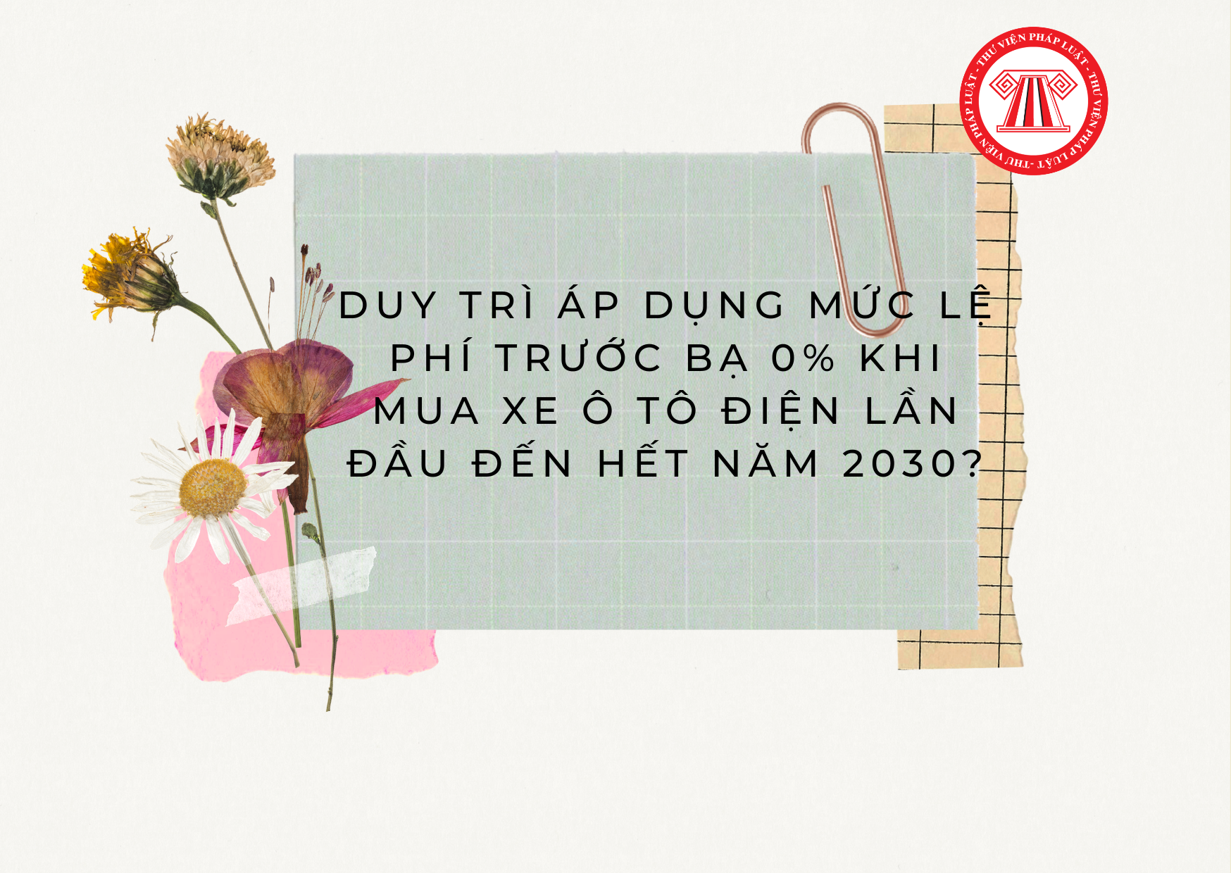 Pháp luật