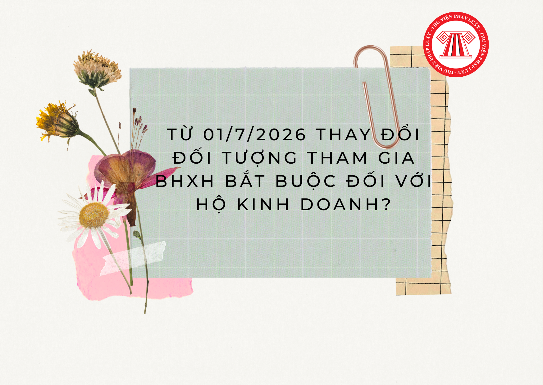 Pháp luật
