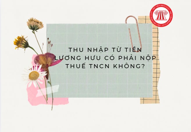 Pháp luật