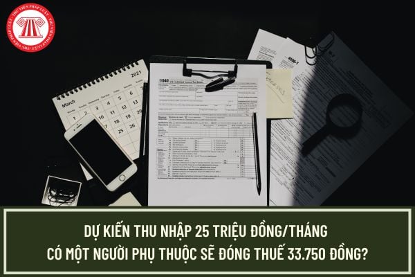 Pháp luật