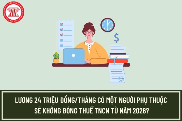 Pháp luật