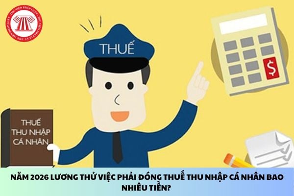 Pháp luật