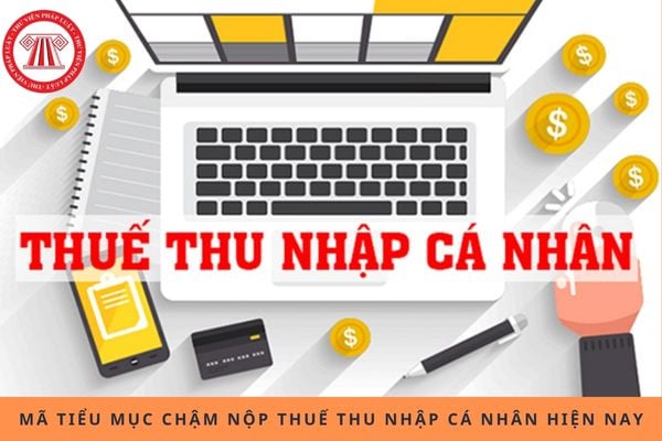 Pháp luật