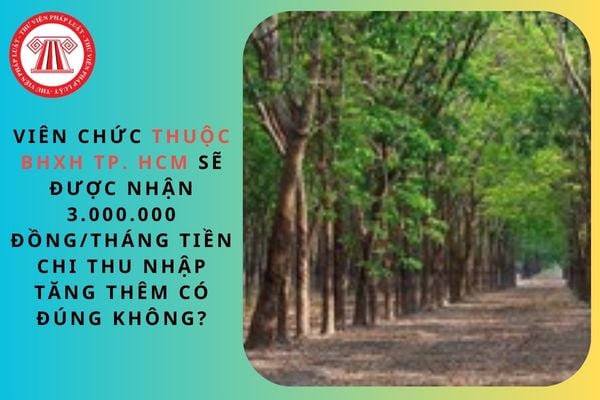 Viên chức thuộc BHXH TP. HCM sẽ được nhận 3.000.000 đồng/tháng tiền chi thu nhập tăng thêm có đúng không?