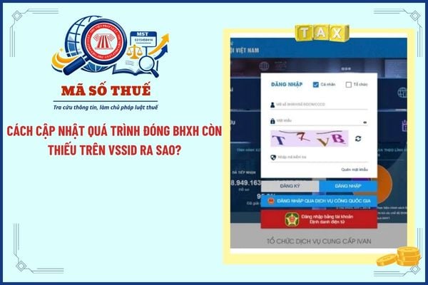Pháp luật