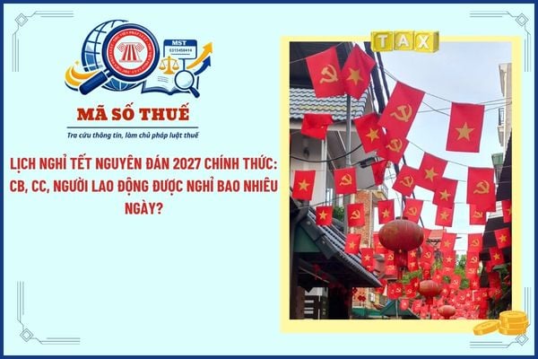 Pháp luật
