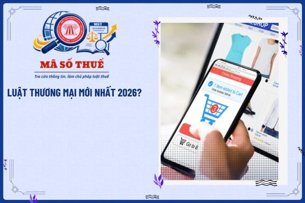 Pháp luật