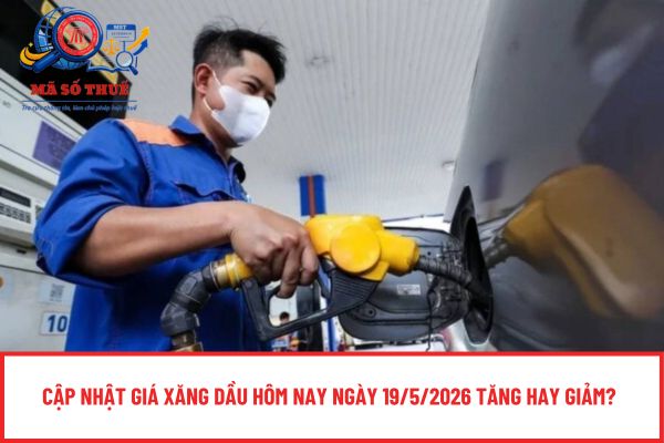 Pháp luật