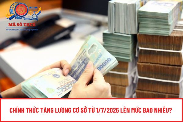 Pháp luật