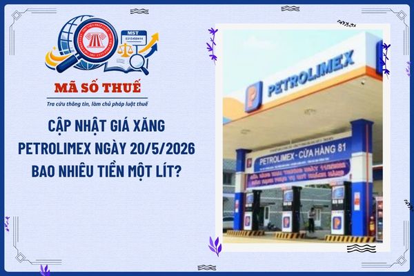 Pháp luật