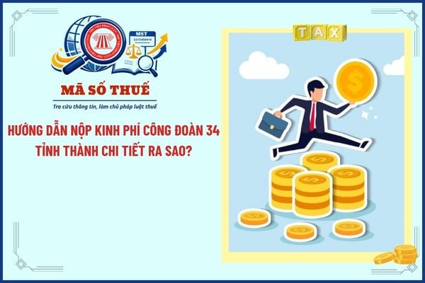 Pháp luật