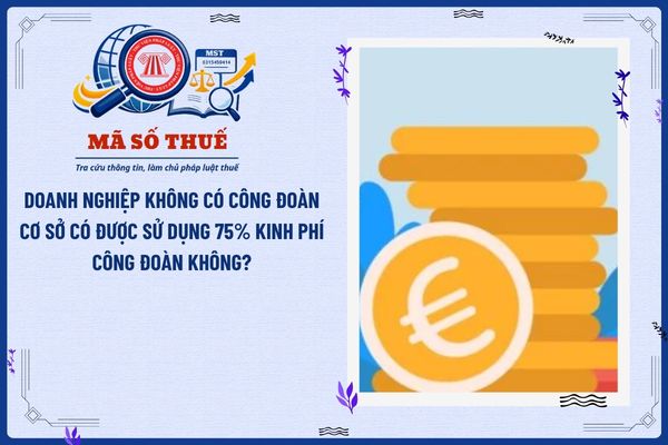 Doanh nghiệp không có công đoàn cơ sở có được sử dụng 75% kinh phí công đoàn không?