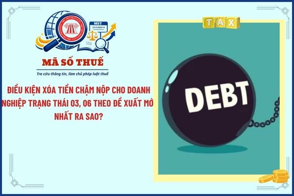 Pháp luật