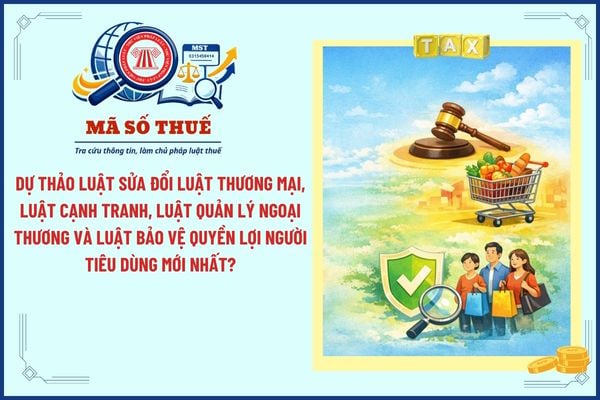 Pháp luật