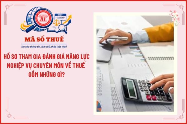 Pháp luật
