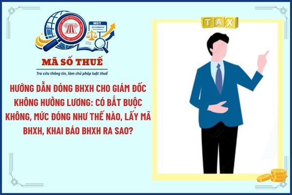 Pháp luật