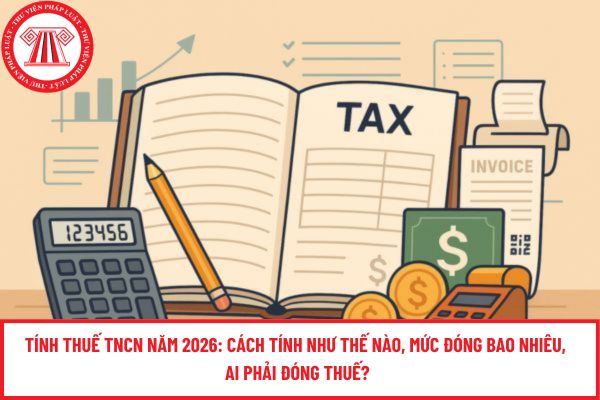 Pháp luật