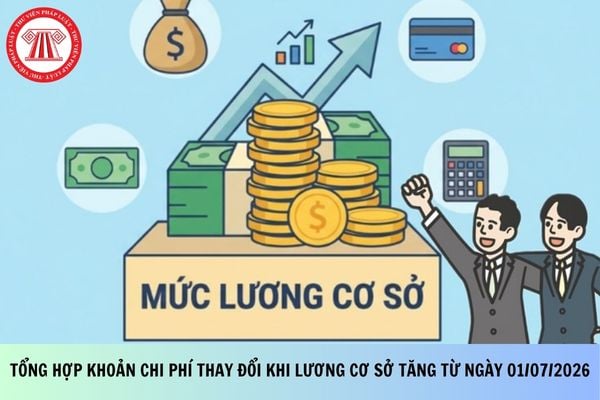 Pháp luật