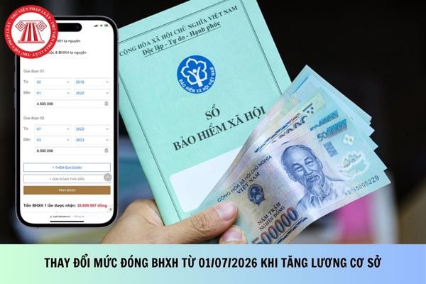 Pháp luật