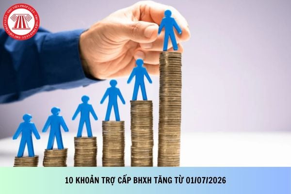 Pháp luật