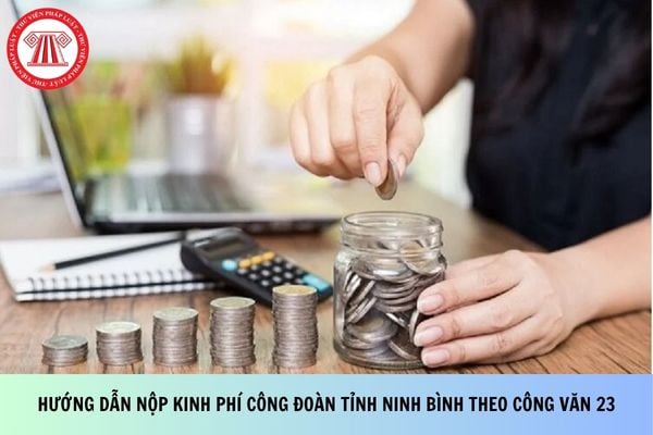 Hướng dẫn nộp kinh phí công đoàn tỉnh Ninh Bình theo Công văn 23?
