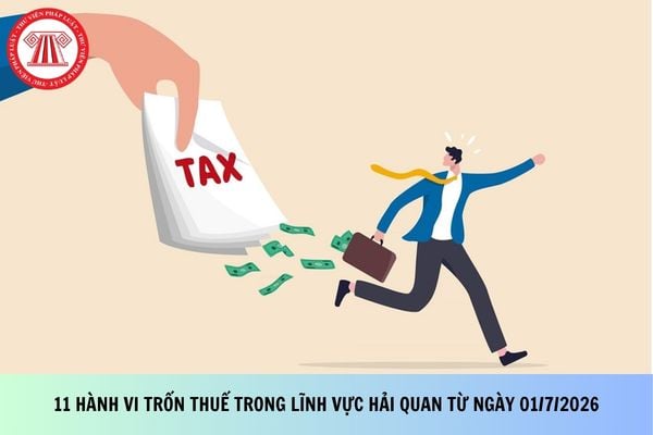 Pháp luật