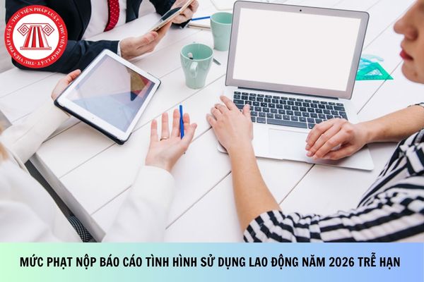 Pháp luật